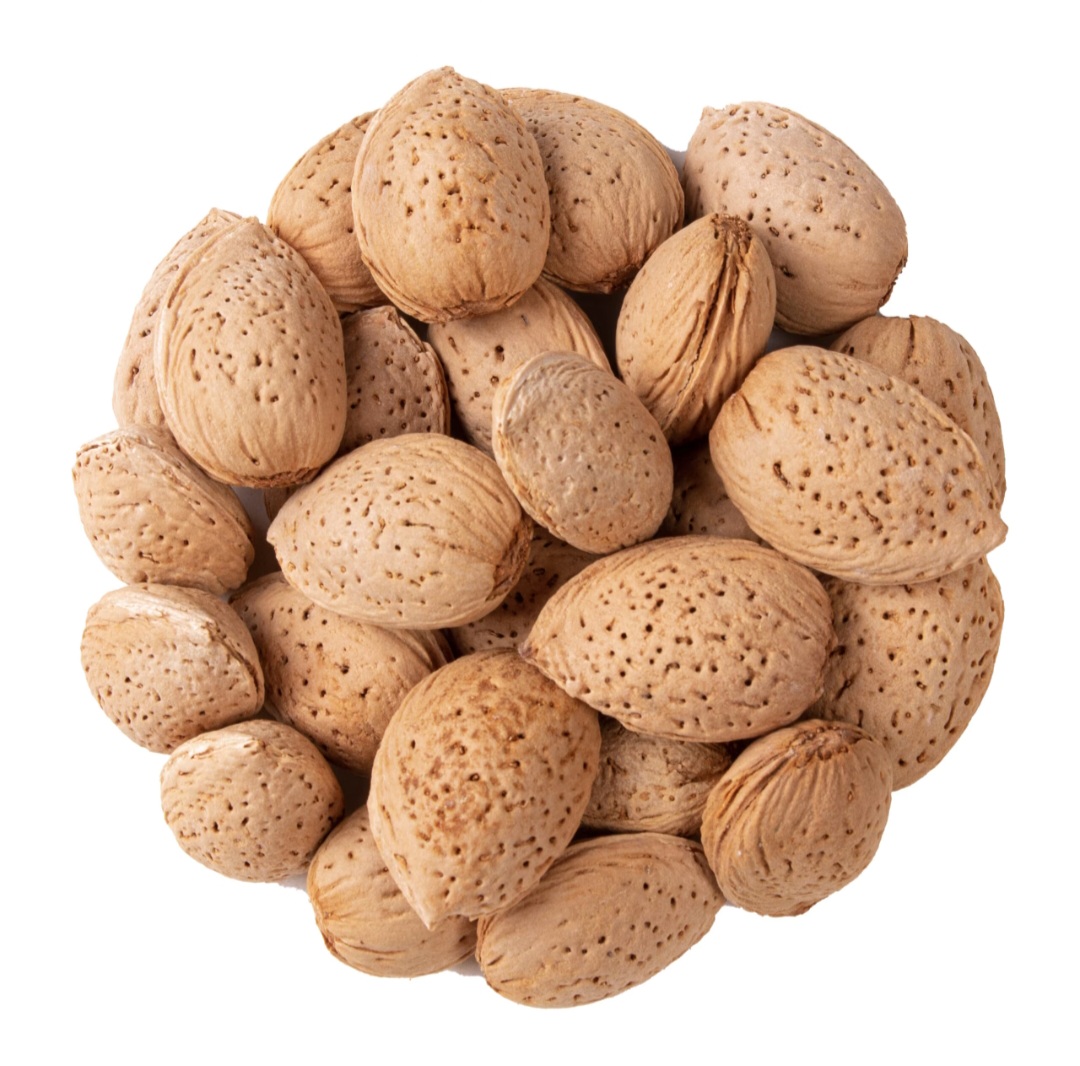 بادام سنگی ممتاز بسته ۱ کیلویی