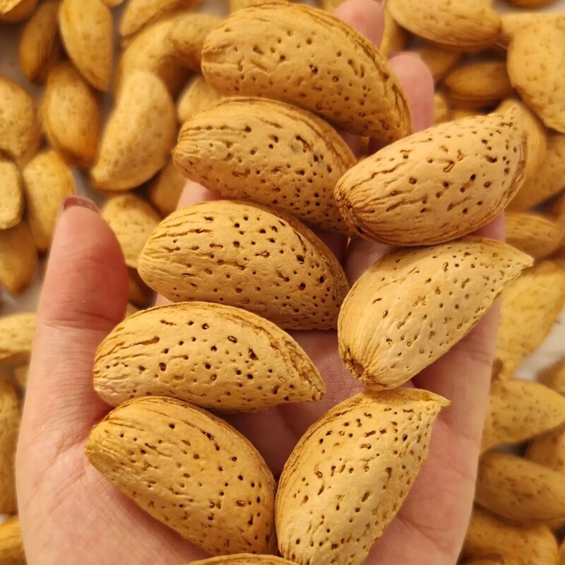 بادام کاغذی شمشیری آذربایجان  بسته ۱ کیلویی