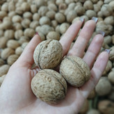 گردوی درجه یک کاغذی دهقان بسته ۱ کیلویی